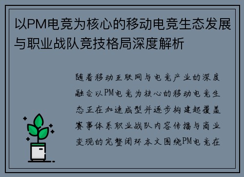 以PM电竞为核心的移动电竞生态发展与职业战队竞技格局深度解析 以PM电竞为核心的移动电竞生态发展与职业战队竞技格局深度解析